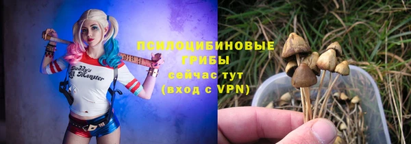 Альфа ПВП Балабаново