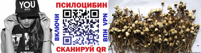 Галлюциногенные грибы Psilocybine cubensis  Богородск 